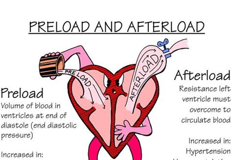 afterload and preload explained.